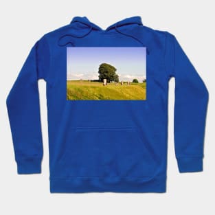 Avebury Stone Circle Wiltshire England Hoodie